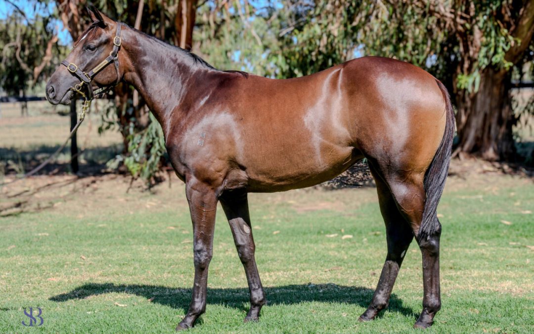 Un-named (Lucky Vega – Cardannic)