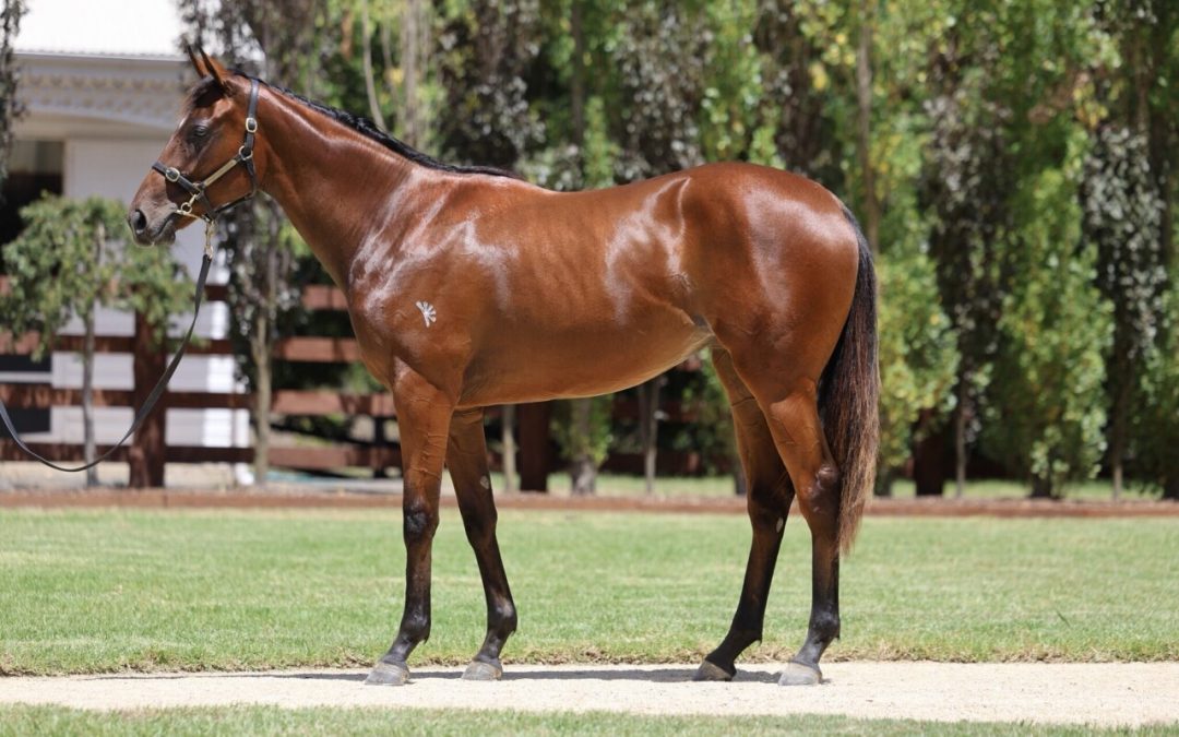 Un-named (Justify – Realm Of Flowers)